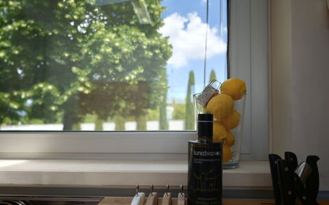 Villa Mulberry Garden - Esclusiva con Piscina Priv: Glas, Flasche, Glasflasche, Countertop, Zimmerpflanze, Küche