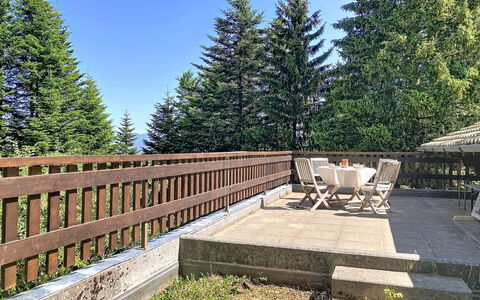 Muzzli: Lärche, Zaun, Geländer, Veranda, Baluster, Deck, Schatten, Immergrün, Landscaping