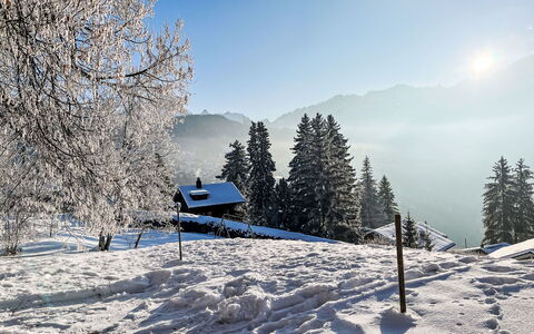 Chalet le Cornuit: Schnee, Winter, Baum, Bergforms, Natur, Ast, Berg, Gebirge, Landschaft, Bergstation