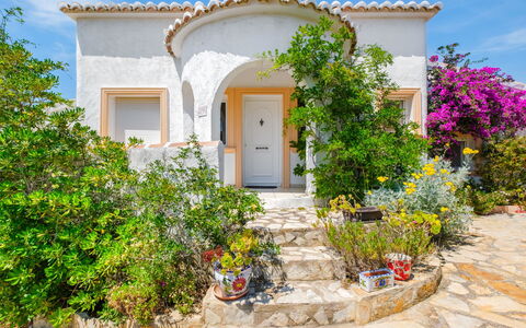 Bougainvillea: Strauch, Garten, Landscaping, Hazienda, Flagstone, Zimmerpflanze, Blumentopf, Villa