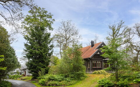 Lövekulle: Baum, Grün, Ast, Haus, Zuhause, Strauch, Wohngebiet, Hütte, Dach