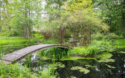 Lövekulle: Grün, Natürlichen Umgebung, Natürliche Landschaft, Vegetation, Strauch, Pflanzengemeinschaft, Garten, Bank, Wasserlauf