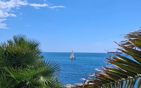 Oasis Villa Sanremo: Blau, Daytime, Gewässer, Meer, Horizont, Watercraft, Küsten Und Ozeanische Forms, Ozean, Boot, Strand
