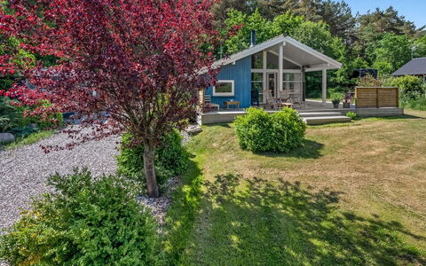 Rise - 600M from the Sea: Strauch, Ground, Garten, Frühling, Landscaping, Garten, Rasen, Walkway, Auffahrt