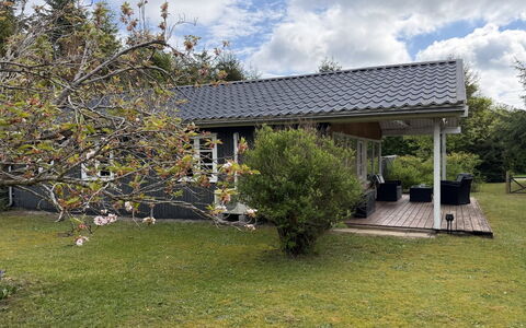 Arisa - from the Sea: Dach, Haus, Zuhause, Hütte, Strauch, Garten, Schatten, Rasen, Abstellgleis