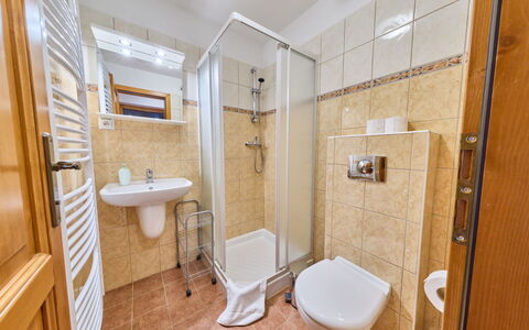 Penzion Exnar: Flooring, Interior Design, Fussboden, Zimmer, Armatur, Installation, Spiegel, Sinken, Zapfhahn, Hotel