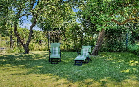 Aaro - 275M from the Sea: Grün, Gras, Möbel, Strauch, Garten, Grundstueck, Rasen, Schatten, Gartenmöbel