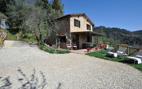Oliveta: Ländliches Gebiet, Hütte, Dorf, Bauernhaus, Bergdorf, Auffahrt, Villa, Hinterhof