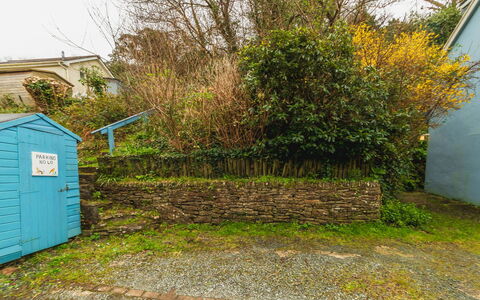 Stonecrop: Wand, Grün, Holz, Strauch, Pflanzengemeinschaft, Ground, Garten, Hinterhof, Zaun