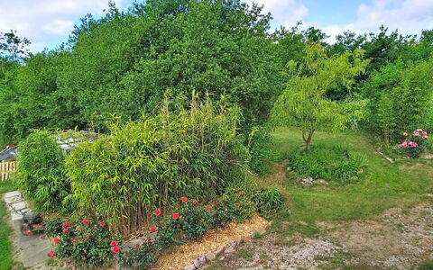L'Ancienne Ferme: Vegetation, Strauch, Garten, Pflanzengemeinschaft, Grundstueck, Ground, Gehölz, Landscaping