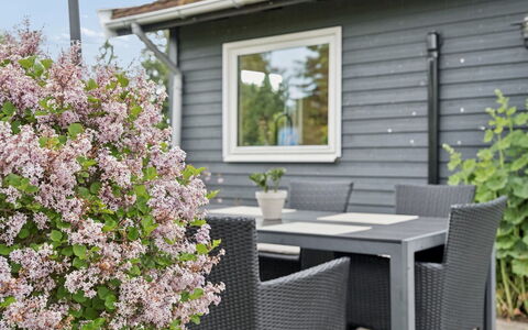 Arise - 1.5Km from the Sea: Strauch, Garten, Ground, Schatten, Garten, Abstellgleis, Gartenmöbel, Landscaping, Hinterhof, Outdoor Struktur