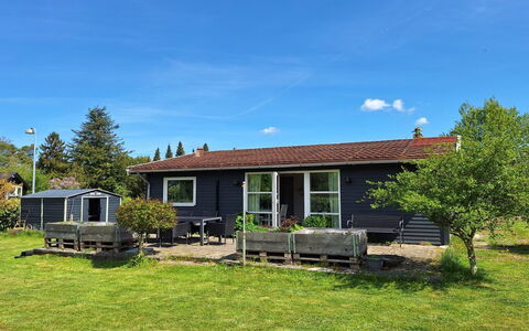 Arise - 1.5Km from the Sea: Gras, Haus, Hütte, Zuhause, Dach, Grundstueck, Ländliches Gebiet, Rasen, Garten, Abstellgleis