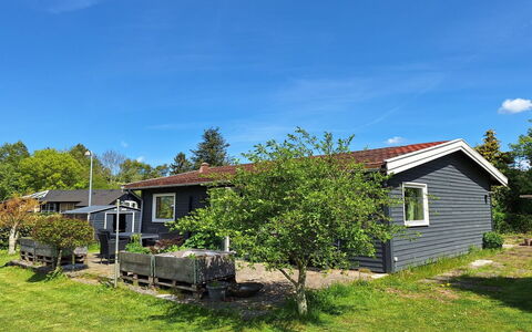 Arise - 1.5Km from the Sea: Gras, Haus, Strauch, Wohngebiet, Zuhause, Hütte, Dach, Grundstueck, Ground
