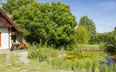 Villa Canela: Grün, Strauch, Garten, Hütte, Ländliches Gebiet, Frühling, Wiese, Rasen, Bauernhaus