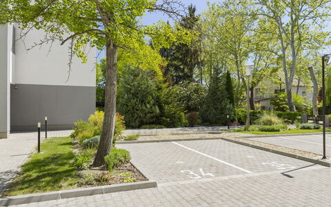 Gárdonyi Garden: Strauch, Öffentlicher Raum, Ground, Bürgersteig, Garten, Flagstone, Gehölz, Auffahrt, Walkway