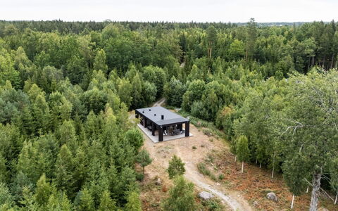 Paradiset 2: Baum, Wald, Pflanzengemeinschaft, Wald, Hain, Lärche, Tropische Und Subtropische Koniferenwald