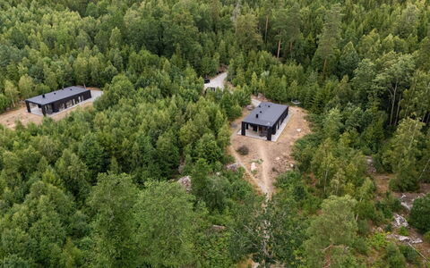 Paradiset 2: Baum, Wald, Landschaft, Grundstueck, Plantage, Wald, Lärche, Dschungel