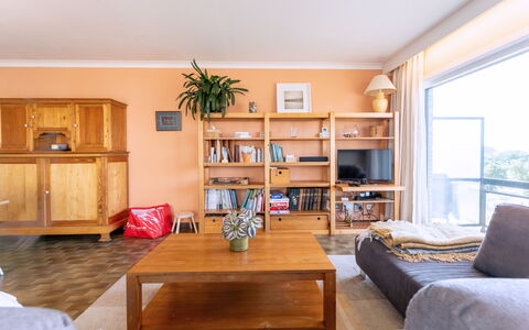 Zandstuyver with Balcony: Möbel, Interior Design, Flooring, Fussboden, Holz, Decke, Zimmer, Holzboden, Regale, Wohnzimmer