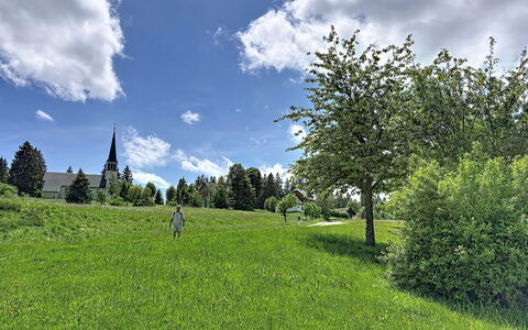 Sonne: Blau, Grün, Gras, Baum, Natürlichen Umgebung, Blatt, Wiese, Wolke, Vegetation, Sommer