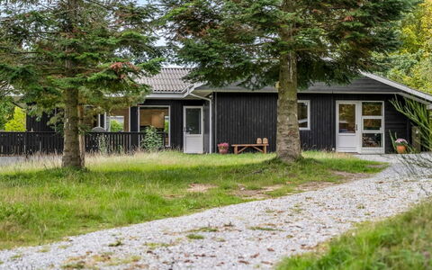Aischa - 1.5Km from the Sea: Gras, Gebäude, Ast, Haus, Strauch, Zuhause, Hütte, Dach, Wohngebiet, Grundstueck