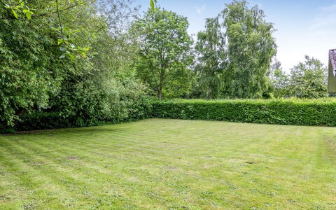 Elif - 200M from the Sea: Grün, Gras, Strauch, Wiese, Garten, Grundstueck, Rasen, Ground, Wiese