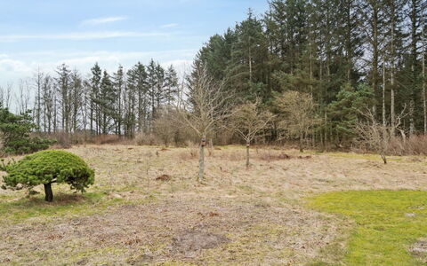 Algeth - 2.5Km from the Sea: Baum, Natürlichen Umgebung, Natürliche Landschaft, Wiese, Einfach, Grundstueck, Pflanzengemeinschaft, Boden, Weide
