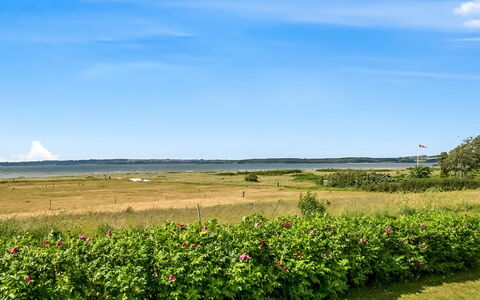 Gustav - 50M from the Sea: Himmel, Blau, Grün, Wolke, Wiese, Wiese, Plantage, Feld, Prärie