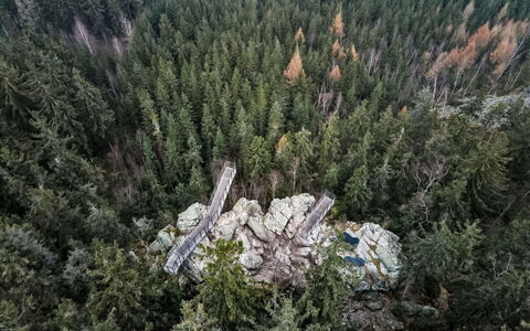 Rokytnice Nad Jizerou 2: Wald, Lärche, Tropische Und Subtropische Koniferenwald, Dschungel, Immergrün, Wald