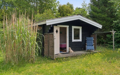 Nis - 1.4Km from the Sea: Holz, Dach, Hütte, Schuppen, Ländliches Gebiet, Gartenbauten, Garten, Hinterhof, Rasen, Garten