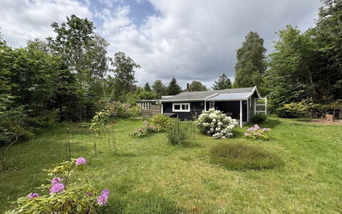 Nis - 1.4Km from the Sea: Gras, Haus, Strauch, Zuhause, Hütte, Dach, Grundstueck, Ländliches Gebiet, Garten