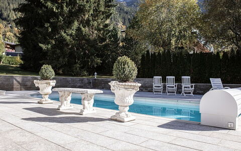 Villa 10: Gebirge, Alpen, Schwimmbad, Water Feature, Blumentopf, Zimmerpflanze, Gartenmöbel