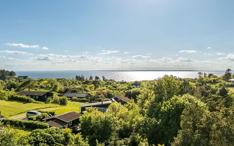 Blagica - 600M from the Sea: Vegetation, Landschaft, Strauch, Pflanzengemeinschaft, Grundstueck, Ländliches Gebiet, Hütte, Ozean, Estate, Shrubland