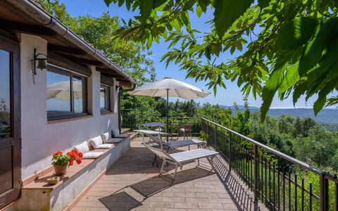 Cuculo: Möbel, Stuhl, Gartenmöbel, Balkon, Schatten, Zimmerpflanze, Blumentopf, Küche & Esszimmer Tisch, Garten, Tisch Im Freien