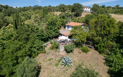 Cuculo