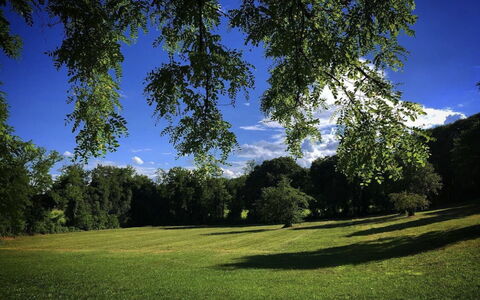 Villa Veneta - Historic Villa in the Prosecco Hill: Blau, Gras, Blatt, Daytime, Grün, Natur, Baum, Ast, Natürlichen Umgebung, Vegetation