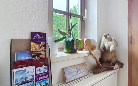 Boutique Appartement Tauernblick: Interior Design, Möbel, Regale, Zimmer, Regal, Zimmerpflanze, Blumentopf, Bilderrahmen
