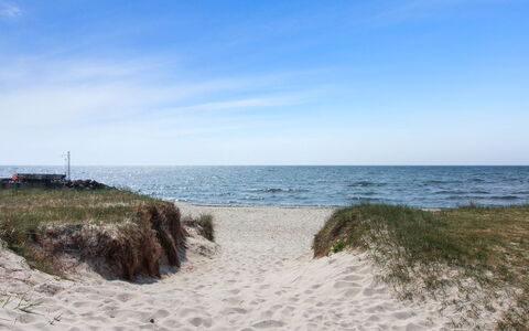 Eliene - 500M from the Sea: Flooring, Wand, Fussboden, Interior Design, Holz, Decke, Holzboden, Beleuchtung, Möbel, Laminatboden