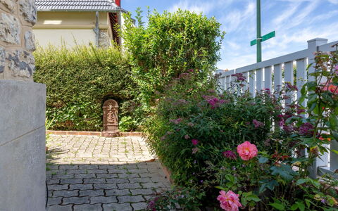 Villerville: Blume, Strauch, Garten, Landscaping, Garten, Rose Family, Hinterhof, Walkway