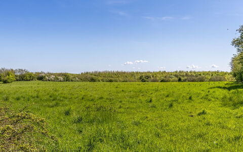 Susianna - 550M from the Sea: Himmel, Blau, Grün, Daytime, Gras, Wiese, Natürlichen Umgebung, Vegetation, Natürliche Landschaft, Ökoregion