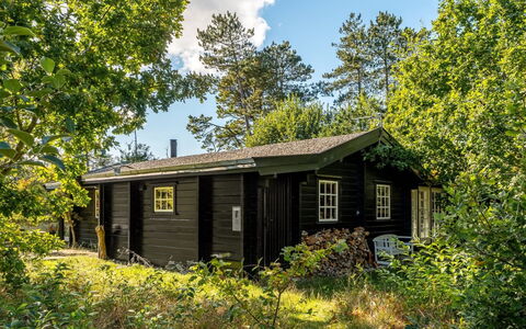 Sigref - 4Km from the Sea: Dachdecken, Hütte, Haus, Dach, Zuhause, Bauernhaus, Hütte, Estate, Dorf