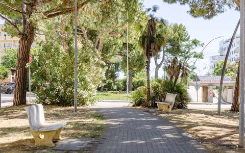 Casabianca: Baum, Ast, Öffentlicher Raum, Schatten, Kofferraum, Gehölz, Außenbank, Bank, Bürgersteig