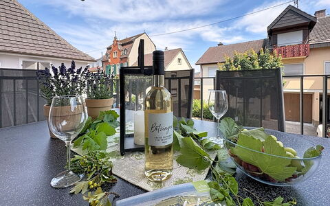 Endingen am Kaiserstuhl 100: Flasche, Glasflasche, Barware, Wein, Weinflasche, Kelche, Zimmerpflanze, Weinglas