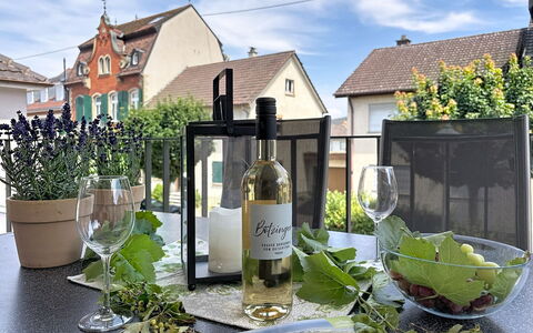 Endingen am Kaiserstuhl 100: Flasche, Glasflasche, Glas, Blumentopf, Weinflasche, Zimmerpflanze, Wein
