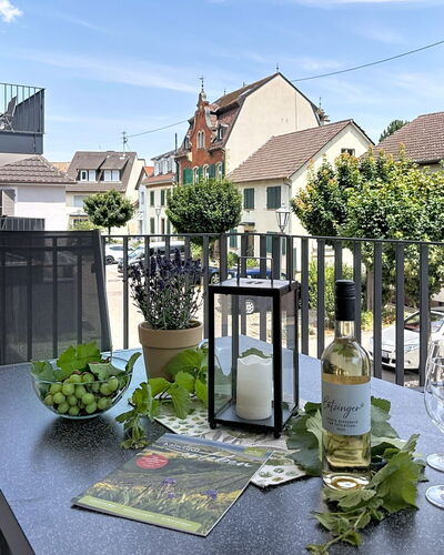 Endingen am Kaiserstuhl 100: Balkon, Blumentopf, Zuhause, Urban Design, Wohnung, Zimmerpflanze, Veranda, Stuhl, Geländer, Zaun