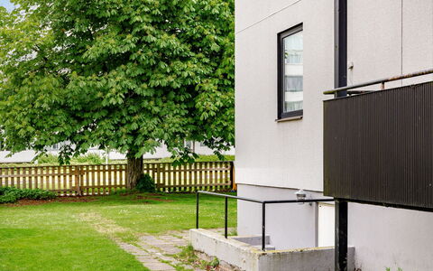 Odal: Wand, Rasen, Zaun, Garten, Hinterhof, Home Fechten, Garten, Schatten, Landscaping, Geländer