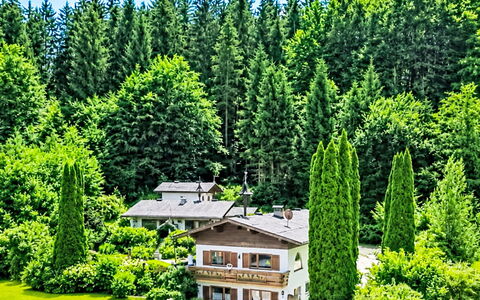 Velden am Wörthersee 39: Baum, Strauch, Wald, Zuhause, Garten, Hütte, Lärche, Bergstation, Landscaping
