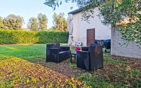 Scarlino 35: Gras, Blatt, Strauch, Garten, Grundstueck, Rasen, Schatten, Sonnenlicht, Hinterhof, Landscaping