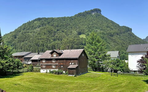 Mellau Appartments: Haus, Ländliches Gebiet, Zuhause, Hochland, Wohngebiet, Landschaft, Dach, Hügel, Hütte, Grundstueck