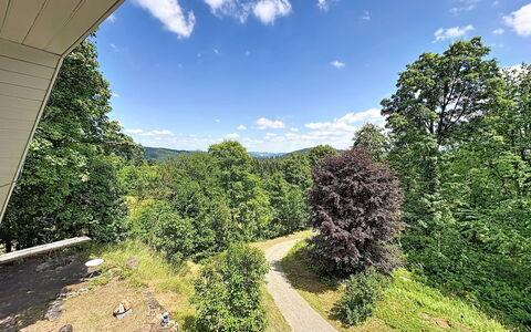 Auszeit für Körper und Seele: Blatt, Baum, Grün, Natürlichen Umgebung, Natur, Vegetation, Natürliche Landschaft, Strauch, Landschaft, Hügel