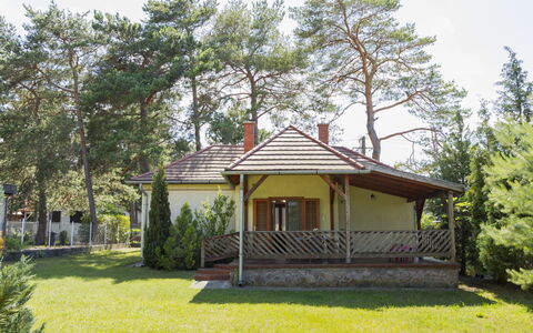 Stefano: Baum, Dach, Haus, Hütte, Zuhause, Schatten, Veranda, Garten, Bauernhaus, Estate
